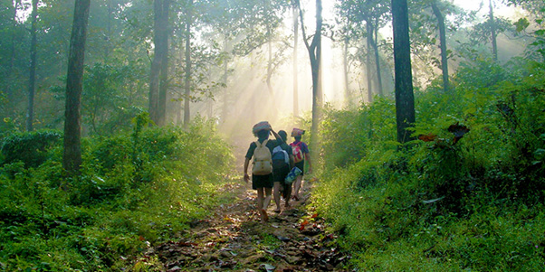sabarimala-darsana-vidhikal